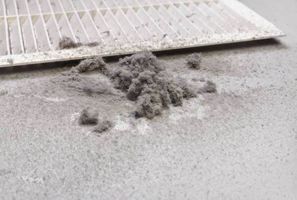 Best Emergency Air Duct Cleaning  in Reidland, KY