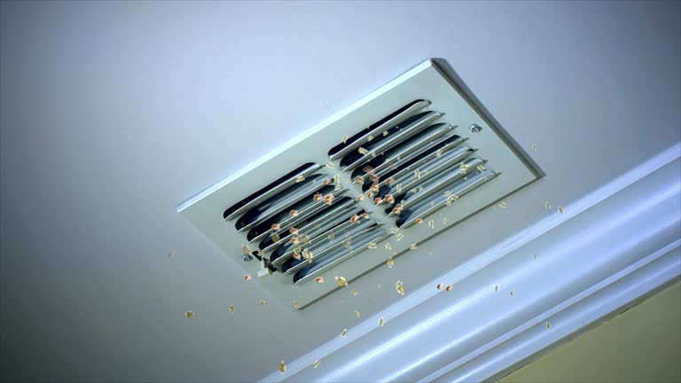 Best Air Duct Cleaning Near Me  in Reidland, KY